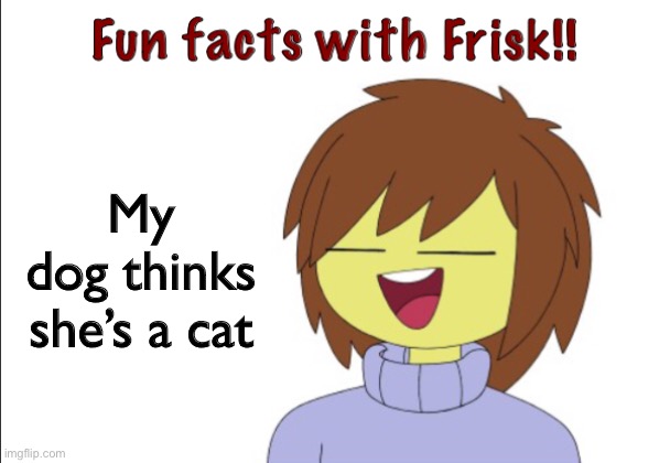 Fun Facts With Frisk!! | My dog thinks she’s a cat | image tagged in fun facts with frisk | made w/ Imgflip meme maker