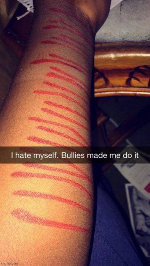 Found this on google lmao | made w/ Imgflip meme maker