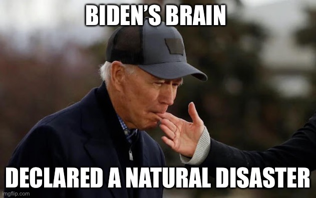 Biden’s Brain Declared a Natural Disaster! | BIDEN’S BRAIN; DECLARED A NATURAL DISASTER | image tagged in biden incompetent,political meme,biden brain tapioca | made w/ Imgflip meme maker