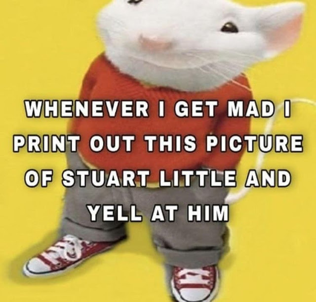 High Quality Stuart little meme Blank Meme Template