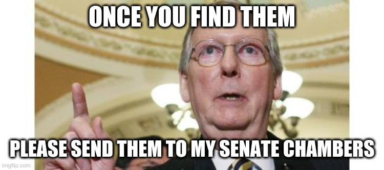 When someone said they were hunting for elderly tras 'ladies' | ONCE YOU FIND THEM PLEASE SEND THEM TO MY SENATE CHAMBERS | image tagged in memes,mitch mcconnell,closet | made w/ Imgflip meme maker