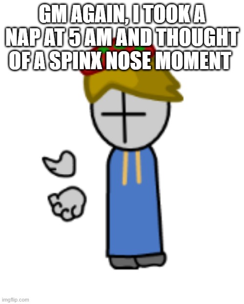 toad grunt what | GM AGAIN, I TOOK A NAP AT 5 AM AND THOUGHT OF A SPINX NOSE MOMENT | image tagged in toad grunt what | made w/ Imgflip meme maker