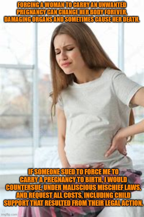 Make them put their money where their mouths are! | FORCING A WOMAN TO CARRY AN UNWANTED PREGNANCY CAN CHANGE HER BODY FOREVER, DAMAGING ORGANS AND SOMETIMES CAUSE HER DEATH. IF SOMEONE SUED TO FORCE ME TO CARRY A PREGNANCY TO BIRTH, I WOULD COUNTERSUE, UNDER MALISCIOUS MISCHIEF LAWS, AND REQUEST ALL COSTS, INCLUDING CHILD SUPPORT THAT RESULTED FROM THEIR LEGAL ACTION. | image tagged in politics | made w/ Imgflip meme maker