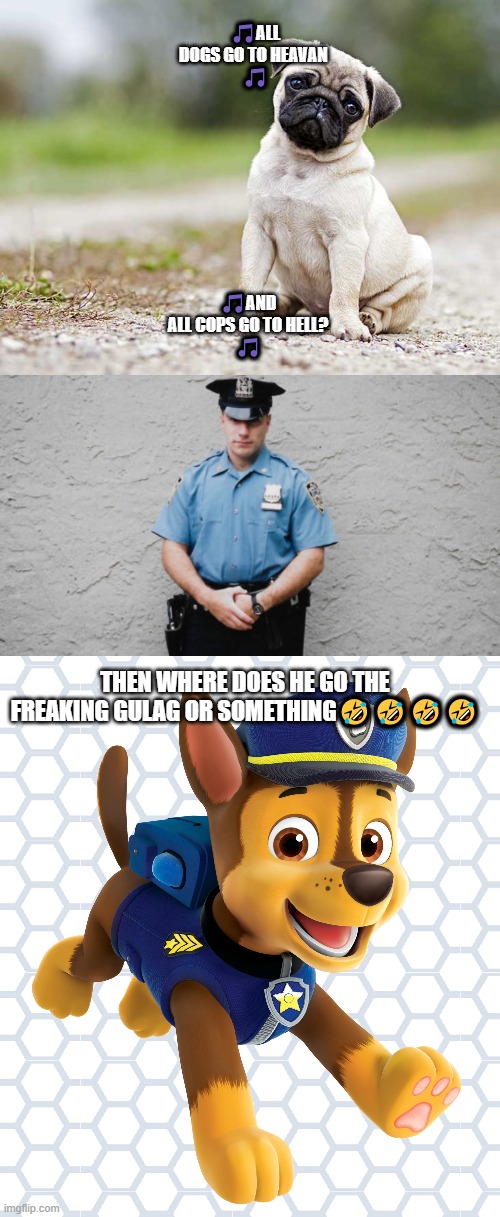 where does he go | 🎵ALL DOGS GO TO HEAVAN 

🎵; 🎵AND ALL COPS GO TO HELL?

🎵; THEN WHERE DOES HE GO THE FREAKING GULAG OR SOMETHING🤣🤣🤣🤣 | image tagged in funny | made w/ Imgflip meme maker