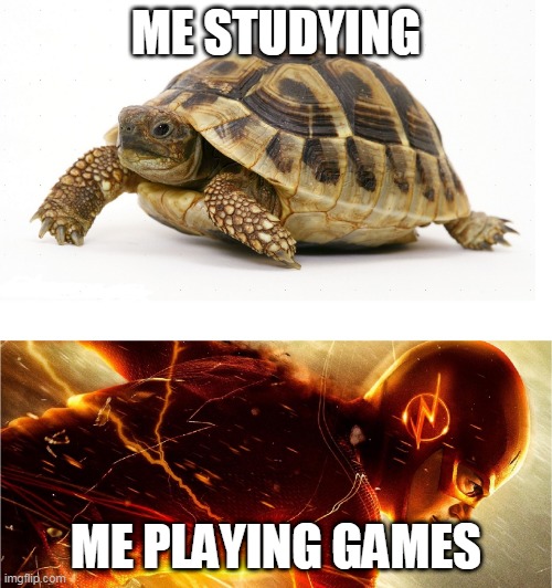 Slow VS Fast Funny Meme | ME STUDYING; ME PLAYING GAMES | image tagged in slow vs fast meme,too funny,lol so funny | made w/ Imgflip meme maker