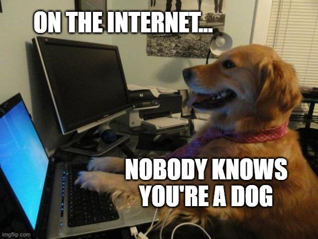 On the internet nobody knows you are a dog | ON THE INTERNET... NOBODY KNOWS YOU'RE A DOG | image tagged in on the internet nobody knows you are a dog | made w/ Imgflip meme maker