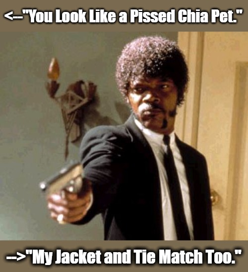 Men's Scarehouse |  <--"You Look Like a Pissed Chia Pet."; -->"My Jacket and Tie Match Too." | image tagged in memes,say that again i dare you,samuel l jackson,pulp fiction - samuel l jackson,sharp dresser,suit and tie | made w/ Imgflip meme maker
