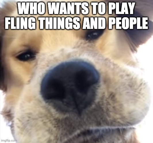Doggo bruh | WHO WANTS TO PLAY FLING THINGS AND PEOPLE | image tagged in doggo bruh | made w/ Imgflip meme maker