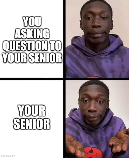 Asking questions to your senior | YOU ASKING QUESTION TO YOUR SENIOR; YOUR SENIOR | image tagged in khaby lame meme,senior,software | made w/ Imgflip meme maker