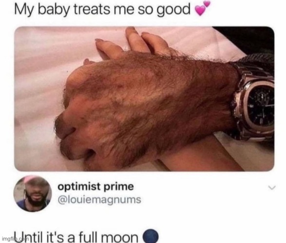 LOL | image tagged in rare insults,funny,wtf,hairy,wolf | made w/ Imgflip meme maker