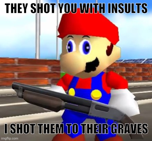 Oh no | THEY SHOT YOU WITH INSULTS; I SHOT THEM TO THEIR GRAVES | image tagged in smg4 shotgun mario | made w/ Imgflip meme maker