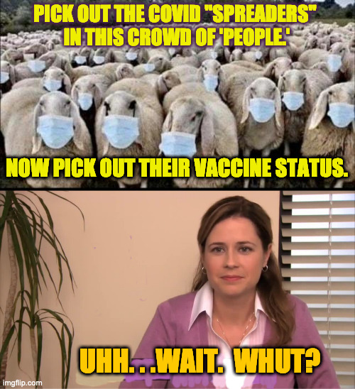 Tell Me Again Why We Are Doing the Masks and the Vaccines? Because I'm just an Ignorant re-taaad who doesn't know sh-t. | PICK OUT THE COVID "SPREADERS" 
IN THIS CROWD OF 'PEOPLE.'; NOW PICK OUT THEIR VACCINE STATUS. UHH. . .WAIT.  WHUT? | image tagged in sheeple in masks,there the same picture | made w/ Imgflip meme maker