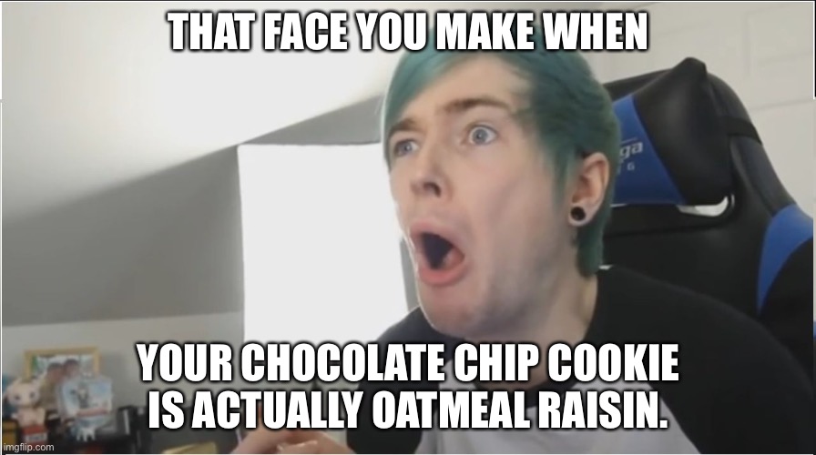 My brother tricked me into eating an oatmeal raisin. I slapped him, and i was the one punished | THAT FACE YOU MAKE WHEN; YOUR CHOCOLATE CHIP COOKIE IS ACTUALLY OATMEAL RAISIN. | image tagged in dantdm sour | made w/ Imgflip meme maker