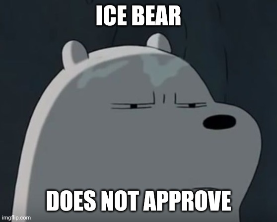 Ice Bear Does Not Approve | ICE BEAR DOES NOT APPROVE | image tagged in ice bear does not approve | made w/ Imgflip meme maker