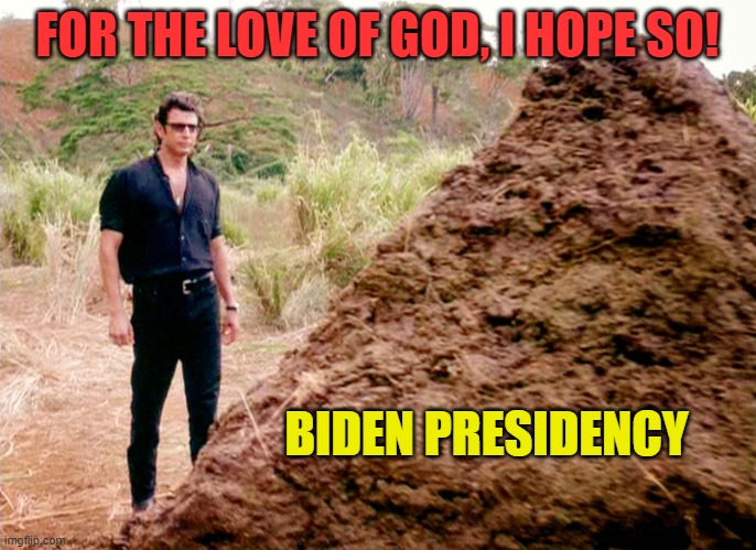 Memes, Poop, Jurassic Park | FOR THE LOVE OF GOD, I HOPE SO! BIDEN PRESIDENCY | image tagged in memes poop jurassic park | made w/ Imgflip meme maker