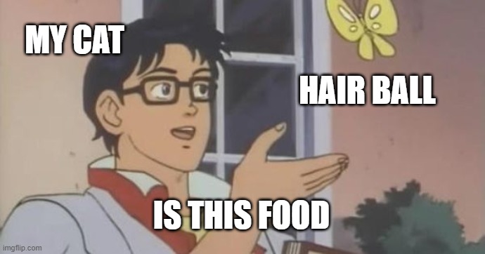 Is This a Pigeon | MY CAT; HAIR BALL; IS THIS FOOD | image tagged in is this a pigeon,funny cats,cats | made w/ Imgflip meme maker