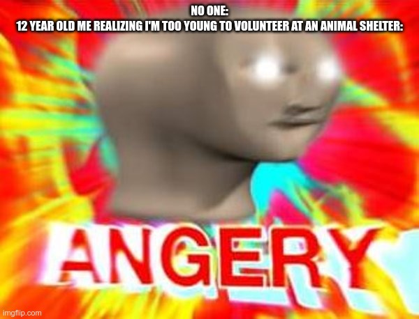 Surreal Angery | NO ONE:
12 YEAR OLD ME REALIZING I'M TOO YOUNG TO VOLUNTEER AT AN ANIMAL SHELTER: | image tagged in surreal angery | made w/ Imgflip meme maker