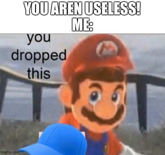 Mario cap | YOU AREN USELESS!
ME: | image tagged in mario cap | made w/ Imgflip meme maker