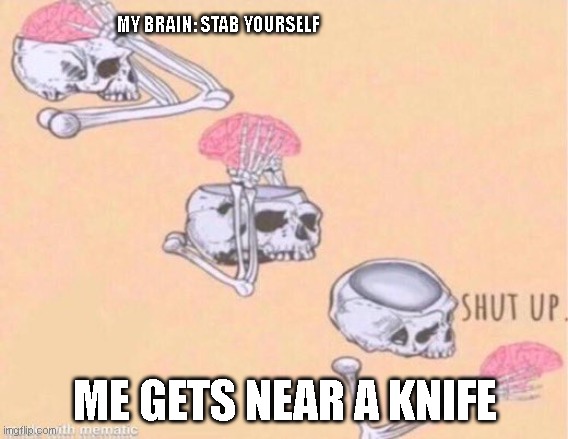 check out anythingehehe stream for daily memes also you can post your own memes like memes like this one we have even reddit mem | MY BRAIN: STAB YOURSELF; ME GETS NEAR A KNIFE | image tagged in shut up brain | made w/ Imgflip meme maker