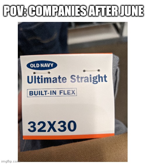 Hint: June is pride month |  POV: COMPANIES AFTER JUNE | image tagged in blank white template | made w/ Imgflip meme maker