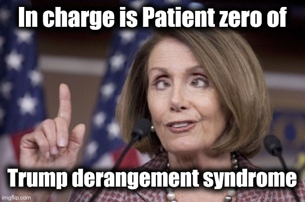 Nancy pelosi | In charge is Patient zero of Trump derangement syndrome | image tagged in nancy pelosi | made w/ Imgflip meme maker