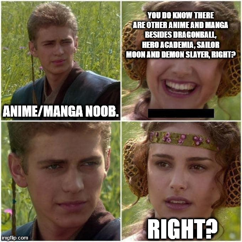 How it feels sometimes when dealing with the new fans. . . | YOU DO KNOW THERE ARE OTHER ANIME AND MANGA BESIDES DRAGONBALL, HERO ACADEMIA, SAILOR MOON AND DEMON SLAYER, RIGHT? ANIME/MANGA NOOB. RIGHT? | image tagged in anakin and padme,anime,dragon ball z,my hero academia,noob | made w/ Imgflip meme maker