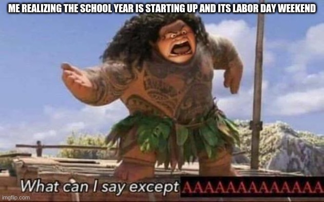 What can I say except AAAAAAAAAAAAAAAAAAAAAAAAAAAAAAAAA | ME REALIZING THE SCHOOL YEAR IS STARTING UP AND ITS LABOR DAY WEEKEND | image tagged in what can i say except aaaaaaaaaaaaaaaaaaaaaaaaaaaaaaaaa,help me,middle school,middle finger,sad but true | made w/ Imgflip meme maker
