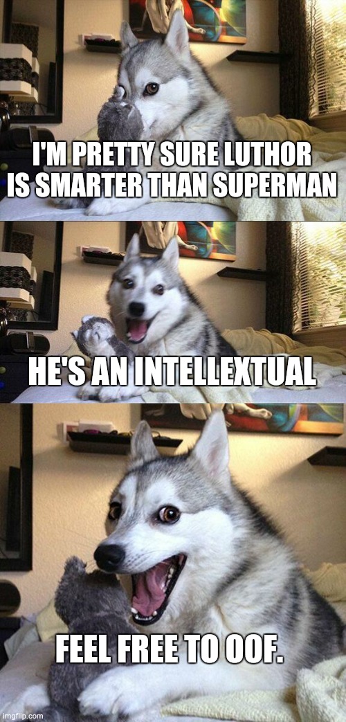 Bad Pun Dog | I'M PRETTY SURE LUTHOR IS SMARTER THAN SUPERMAN; HE'S AN INTELLEXTUAL; FEEL FREE TO OOF. | image tagged in memes,bad pun dog | made w/ Imgflip meme maker