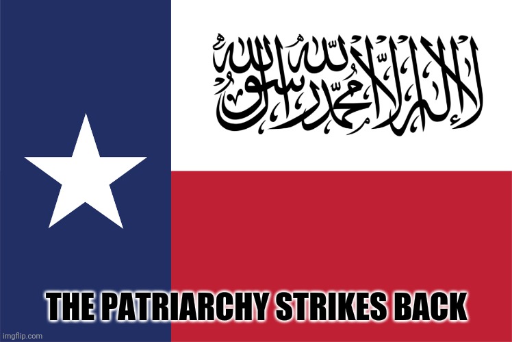 THE PATRIARCHY STRIKES BACK | image tagged in texas taliban,rape culture | made w/ Imgflip meme maker
