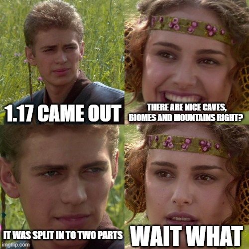 Anakin Padme 4 Panel | 1.17 CAME OUT; THERE ARE NICE CAVES, BIOMES AND MOUNTAINS RIGHT? WAIT WHAT; IT WAS SPLIT IN TO TWO PARTS | image tagged in anakin padme 4 panel | made w/ Imgflip meme maker