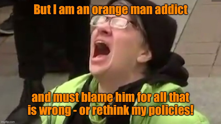 Screaming Liberal  | But I am an orange man addict and must blame him for all that is wrong - or rethink my policies! | image tagged in screaming liberal | made w/ Imgflip meme maker