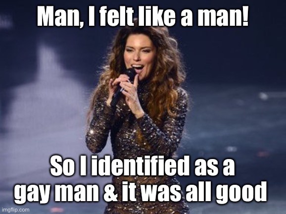 Shania Twain Is Impressed | Man, I felt like a man! So I identified as a gay man & it was all good | image tagged in shania twain is impressed | made w/ Imgflip meme maker