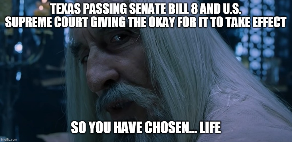 So you have chosen life | TEXAS PASSING SENATE BILL 8 AND U.S. SUPREME COURT GIVING THE OKAY FOR IT TO TAKE EFFECT; SO YOU HAVE CHOSEN... LIFE | image tagged in saruman sou you have chosen death,texas,abortion,abortion is murder,supreme court,pro-life | made w/ Imgflip meme maker