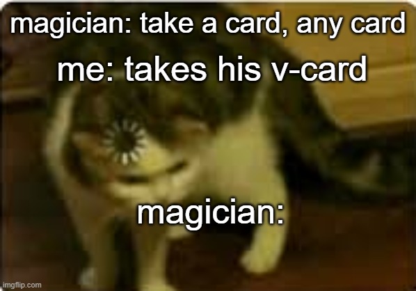 Buffering cat |  magician: take a card, any card; me: takes his v-card; magician: | image tagged in buffering cat,lmao | made w/ Imgflip meme maker