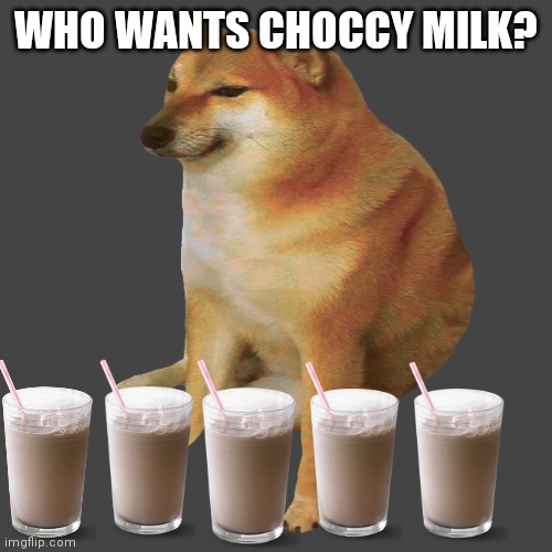 cheems | WHO WANTS CHOCCY MILK? | image tagged in cheems | made w/ Imgflip meme maker