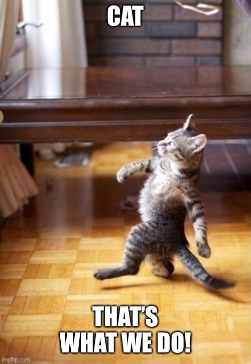 Cool Cat Stroll Meme | CAT THAT’S WHAT WE DO! | image tagged in memes,cool cat stroll | made w/ Imgflip meme maker