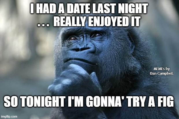 Deep Thoughts | I HAD A DATE LAST NIGHT . . .  REALLY ENJOYED IT; MEMEs by Dan Campbell; SO TONIGHT I'M GONNA' TRY A FIG | image tagged in deep thoughts | made w/ Imgflip meme maker