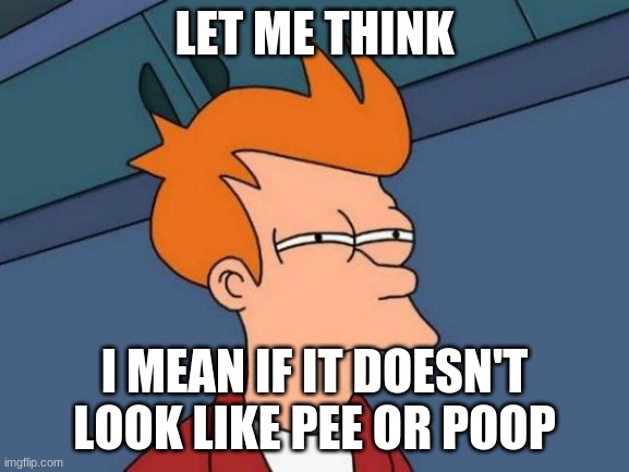 LET ME THINK I MEAN IF IT DOESN'T LOOK LIKE PEE OR POOP | image tagged in memes,futurama fry | made w/ Imgflip meme maker