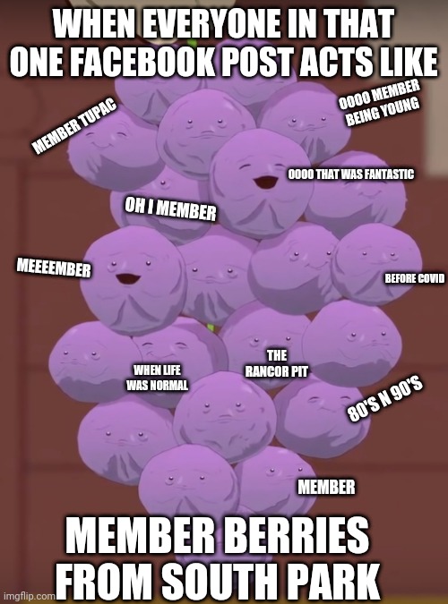 WHEN EVERYONE IN THAT ONE FACEBOOK POST ACTS LIKE; OOOO MEMBER BEING YOUNG; MEMBER TUPAC; OOOO THAT WAS FANTASTIC; MEEEEMBER; OH I MEMBER; BEFORE COVID; THE RANCOR PIT; WHEN LIFE WAS NORMAL; 80'S N 90'S; MEMBER BERRIES FROM SOUTH PARK; MEMBER | image tagged in funny memes,south park,member berries | made w/ Imgflip meme maker