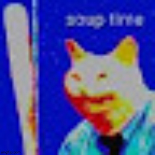 low quality soup cat | image tagged in low quality soup cat | made w/ Imgflip meme maker