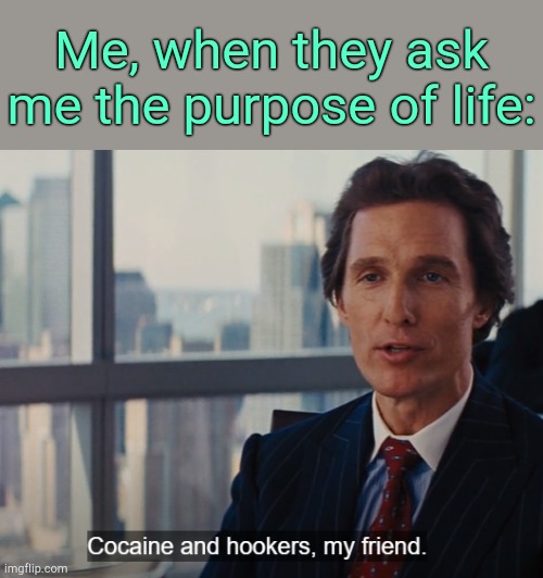 . | Me, when they ask me the purpose of life: | image tagged in cocaine and hookers my friend | made w/ Imgflip meme maker