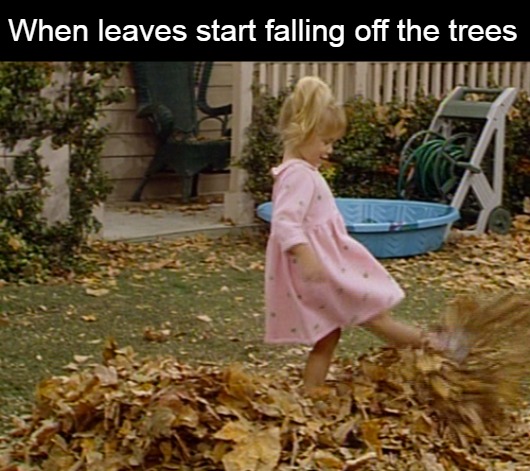  When leaves start falling off the trees | image tagged in meme,memes,fall,autumn leaves,leaves,full house | made w/ Imgflip meme maker