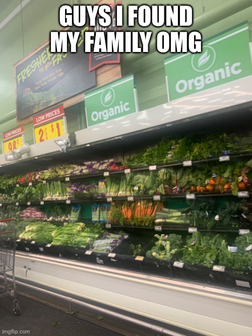 GUYS I FOUND MY FAMILY OMG | made w/ Imgflip meme maker