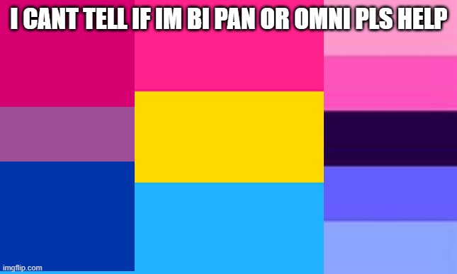 AAAAAAAHH | I CANT TELL IF IM BI PAN OR OMNI PLS HELP | image tagged in pan flag | made w/ Imgflip meme maker
