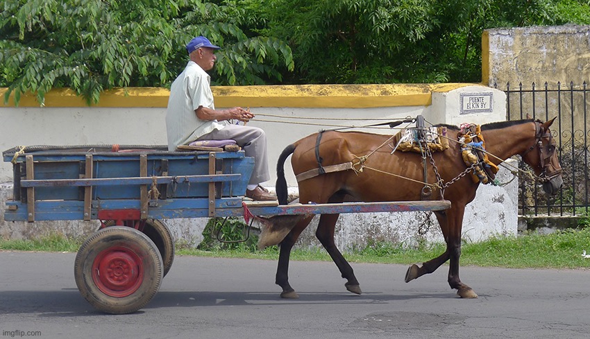 Horse and buggy | image tagged in horse and buggy | made w/ Imgflip meme maker