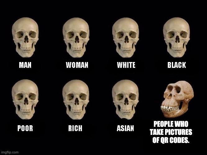empty skulls of truth | PEOPLE WHO TAKE PICTURES OF QR CODES. | image tagged in empty skulls of truth | made w/ Imgflip meme maker