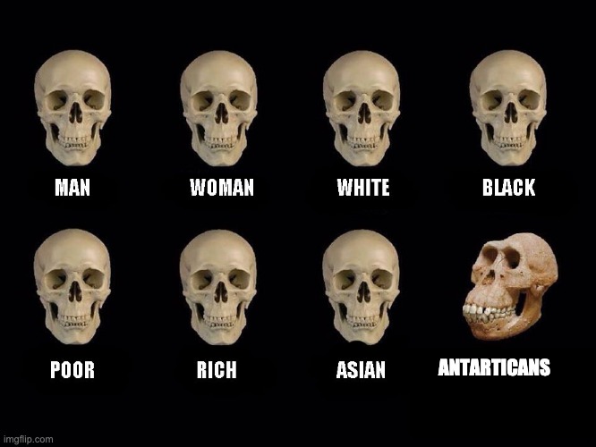 empty skulls of truth | ANTARTICANS | image tagged in empty skulls of truth | made w/ Imgflip meme maker
