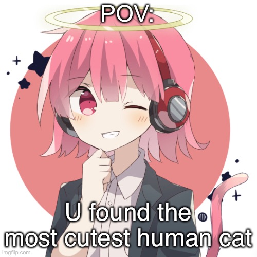 POV:; U found the most cutest human cat | image tagged in kirby the cat | made w/ Imgflip meme maker