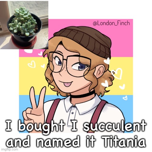 Titania | I bought I succulent and named it Titania | image tagged in london_finch | made w/ Imgflip meme maker