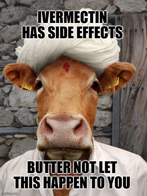 Ivermectin side effects | IVERMECTIN HAS SIDE EFFECTS; BUTTER NOT LET THIS HAPPEN TO YOU | image tagged in ivermectin,cows,butter,cowface,dumbass | made w/ Imgflip meme maker
